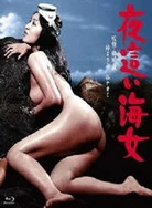 无遮挡国产高潮视频免费观看