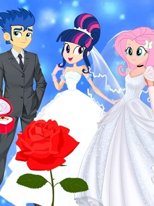 小马宝莉8小仙女玩具故事